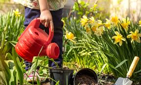 Spruce Up Your Garden This Spring