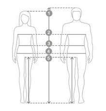 Male Body Measurement Chart Vector Images 17