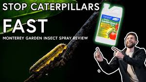 monterey garden insect spray review