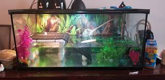 Made a new DIY basking platform/ramp for my turtles Looking for