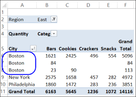 duplicate items appear in pivot table
