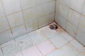 Mold Behind Shower Tiles