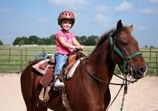 is-it-worth-learning-to-ride-a-horse