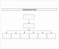nonprofit organizational chart template