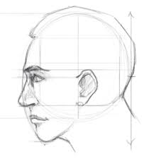how to draw a face proportions