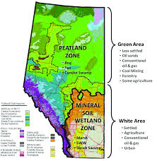 mineral soil wetland zone