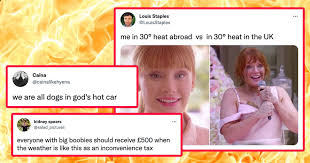 The tesla ceo tweeted a meme about a couple breaking up along with the. Lie In The Shade And Then Enjoy These 27 Uk Heatwave Memes