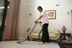 carpet steam cleaning point cook