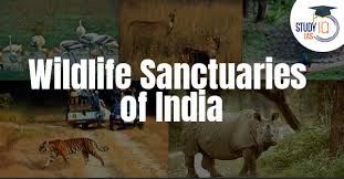 nandini-wildlife-sanctuary