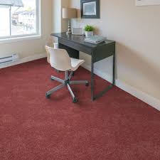 rous plush carpet empire today
