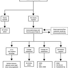 Flow Chart For The Diagnosis Of Acute Leukemia Note