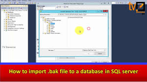 how to import bak file to a database