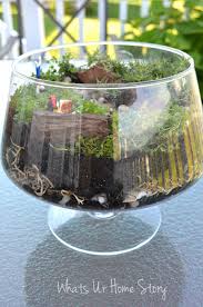miniature garden terrarium whats ur