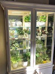 Indoor Greenhouse Indoor Greenhouse