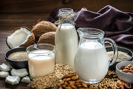 plant based milk alternative healthy