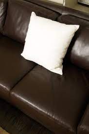 Pet Odor Out Of Leather Furniture