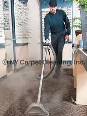 organic green carpet cleaning services