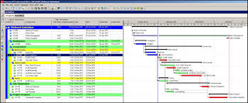 Primavera P6 Displaying Total Float Of Activities On The