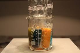 Demonstration Benedicts Test For Reducing Sugars Tsc