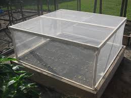 Raised Bed Pest Cover Finegardening