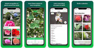 plant identification apps