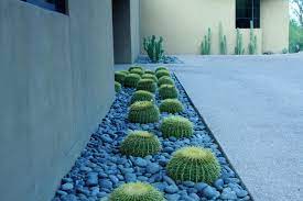 Contemporary Cactus Garden