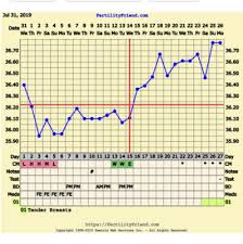 Bbt Chart Help Trying For A Baby Babycenter Canada