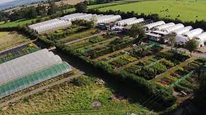 One Of The Largest Whole Nurseries