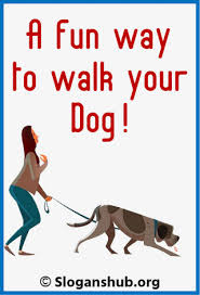 36 Catchy Dog Walking And Boarding Slogans