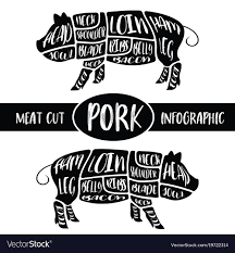 Meat Cut Infographic Pig Pork Parts Graphic