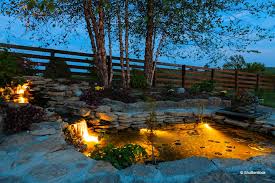 Bring Your Pond To Life At Night With Outdoor Color Changing Led Pond Lighting Randy S Perennials Water Gardens Lawrenceville Ga 770 822 0676