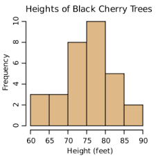 Histograms And Pie Charts Differences Drawing Steps