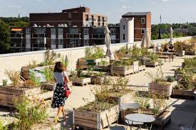 Car Park Rooftop Into Urban Garden