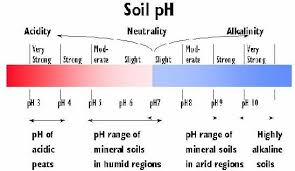 Soil Ph Ndsu Soil Health
