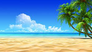 Wallpaper Palm trees, beach, sea ...