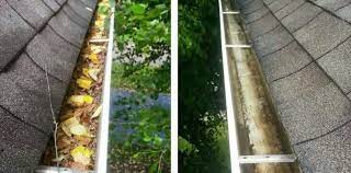 Why You Should Clean Your Gutters Often