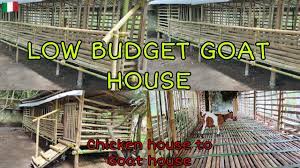 low budget goat house bamboo goat