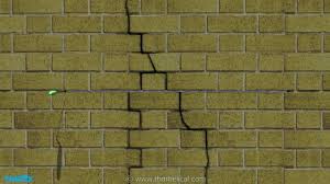 Climbing plants pose no danger to hardened mortar, but roots disturb footings and tendrils take hold in cracks. Crack Stitching Masonry Walls Youtube