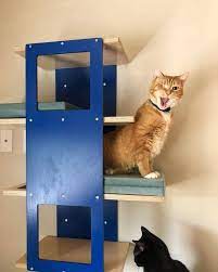 Wally Stacker Cat Shelf Wall Mounted