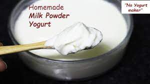 homemade yogurt with powdered milk no