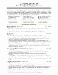 Risk Management Consultant Sample Resume Best Of Ideas Collection