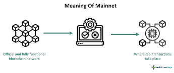 mainnet meaning explained exles
