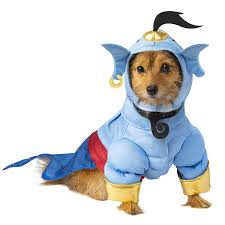genie dog costume from disney s aladdin
