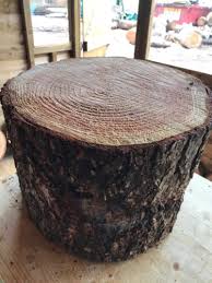 Large 14 Rustic Log Stump Trunk Ideal