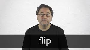 Flip Definition And Meaning Collins English Dictionary
