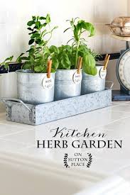 25 Best Herb Garden Ideas And Designs