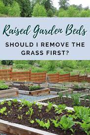 Remove Grass Under A Raised Garden Bed