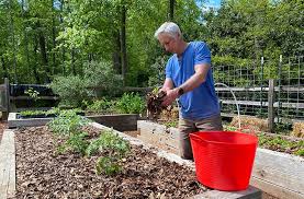 Best Mulch For A Vegetable Garden