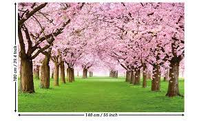 Per la decorazione del vostro negozio, non dimenticate il tocco vegetale, ideale per creare un atmosfera piacevole. Great Art Xxl Poster Albero Dai Fiori Di Ciliegio Murale Decorazione Primavera Natura Paesaggio Viale Dei Fiori Di Ciliegio Petali Di Sakura Spring Fiori 140 X 100 Cm Amazon It Casa E Cucina