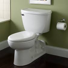 back outlet elongated everclean toilet